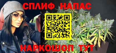 сатива Бузулук