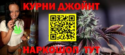 сатива Бузулук