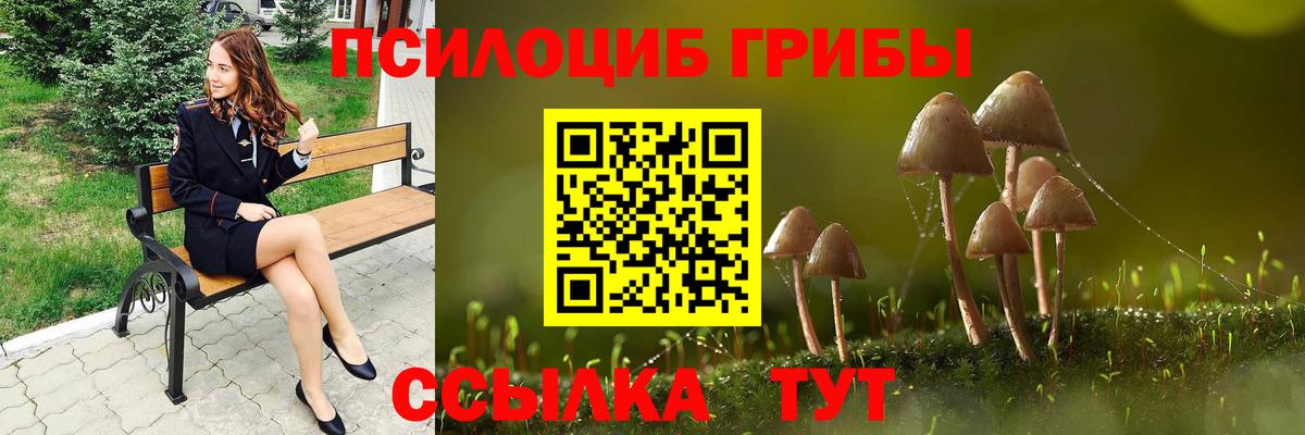 Псилоцибиновые грибы прущие грибы  Галлюциногенные грибы Magic Shrooms  Прокопьевск  Вход с VPN 